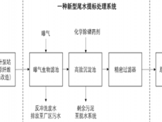 一种新型尾水提标处理系统 